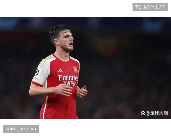 赖斯比赛决策与战术角色是否被高估